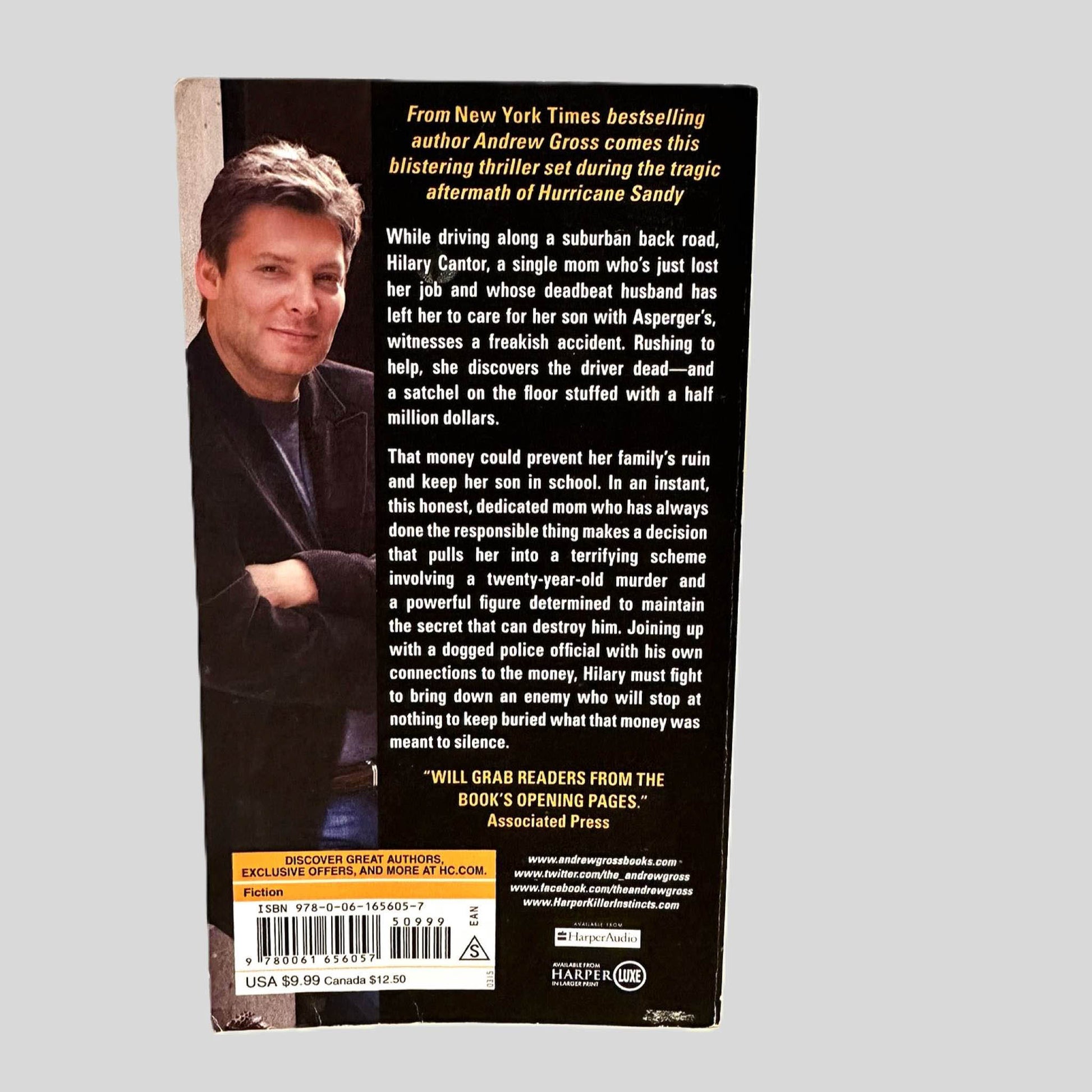 Back cover view of Everything to Lose by Andrew Gross centered on a neutral light gray background. 