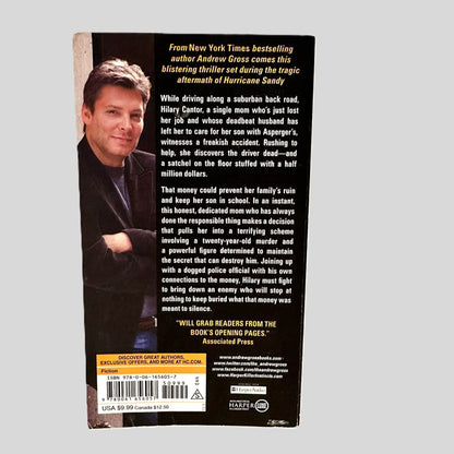 Back cover view of Everything to Lose by Andrew Gross centered on a neutral light gray background. 