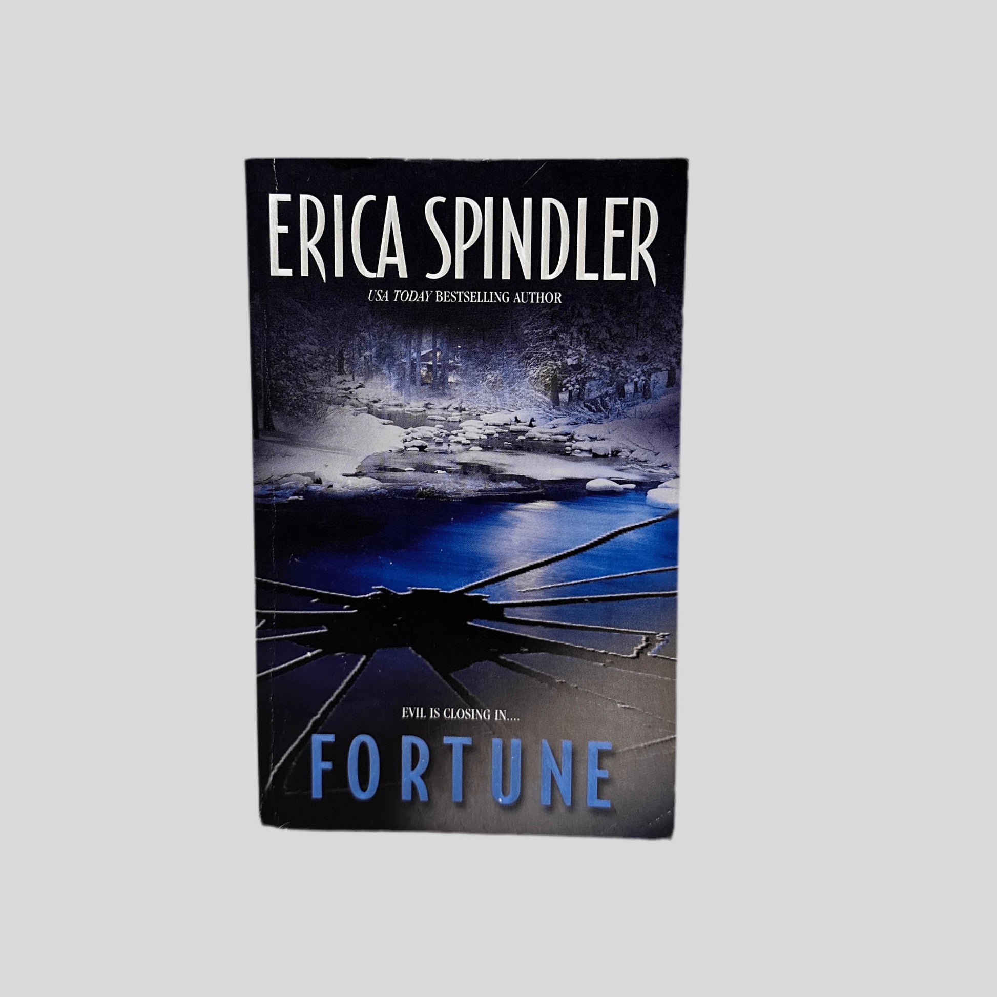 Front cover view of Fortune by Erica Spindler centered on a neutral light gray background. 