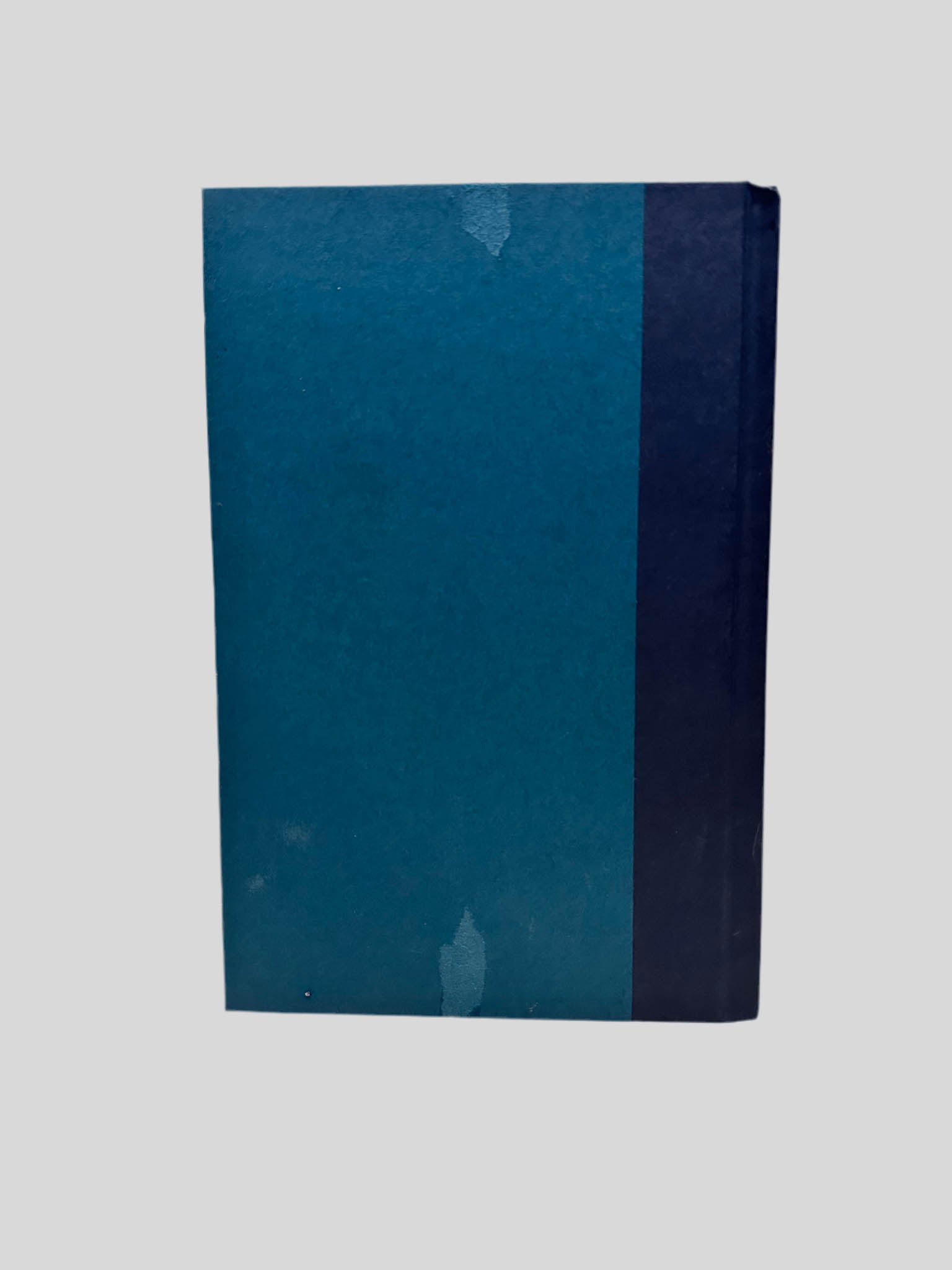 Back cover view of Goodbye to the Dead by Brian Freeman centered on a neutral light gray background. Dust jack is not present. Tears in the cover fibers are present.