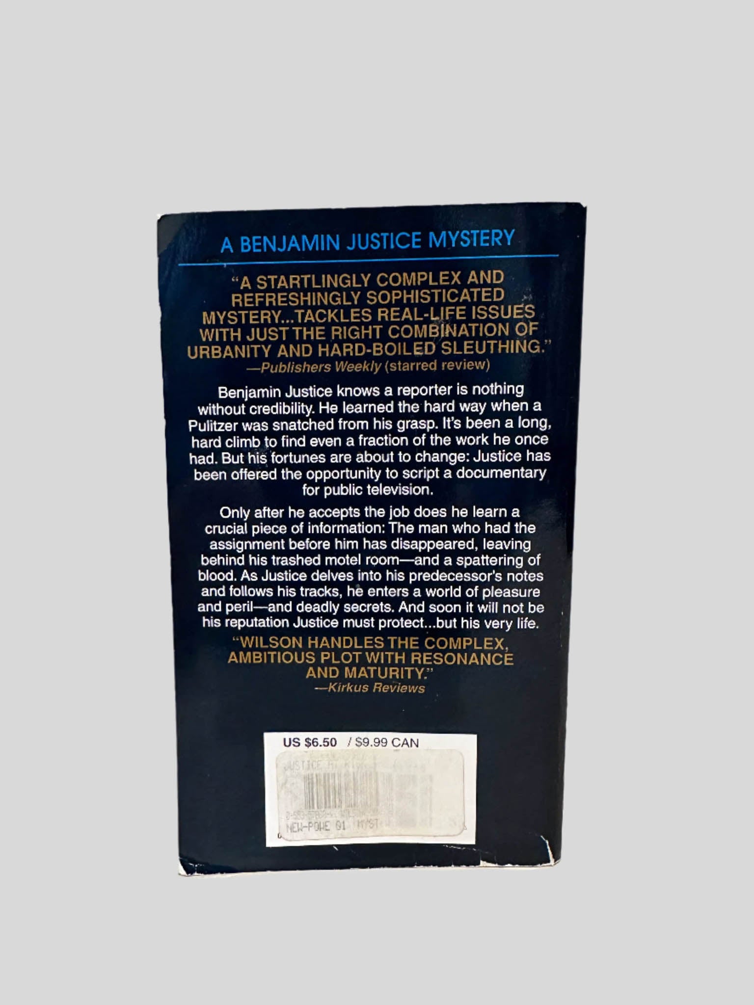 Back cover view of Justice at Risk by John Morgan Wilson centered on a neutral light gray background. 