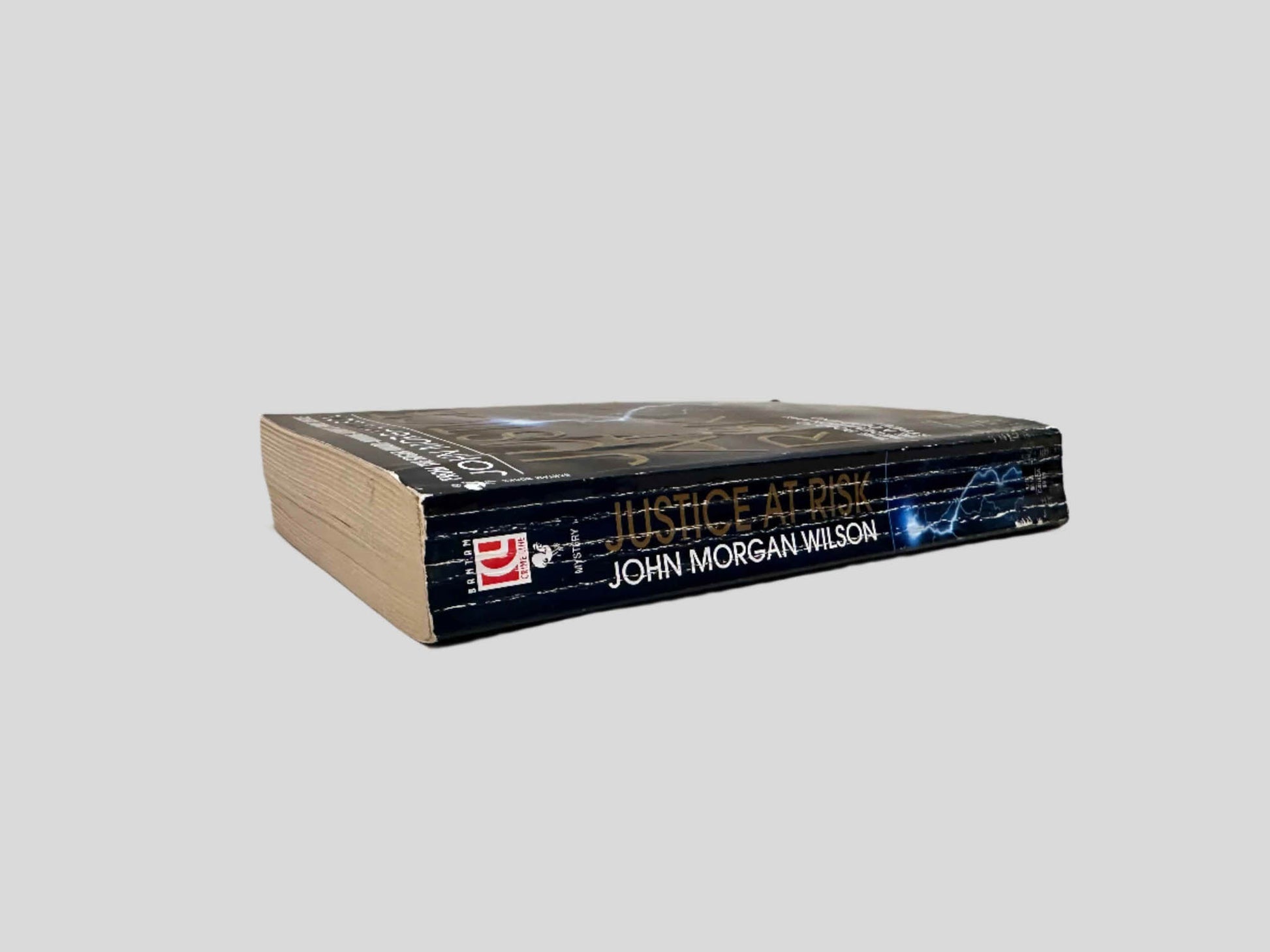 Close-up spine view of Justice at Risk by John Morgan Wilson centered on a neutral light gray background. Spine shows creasing.