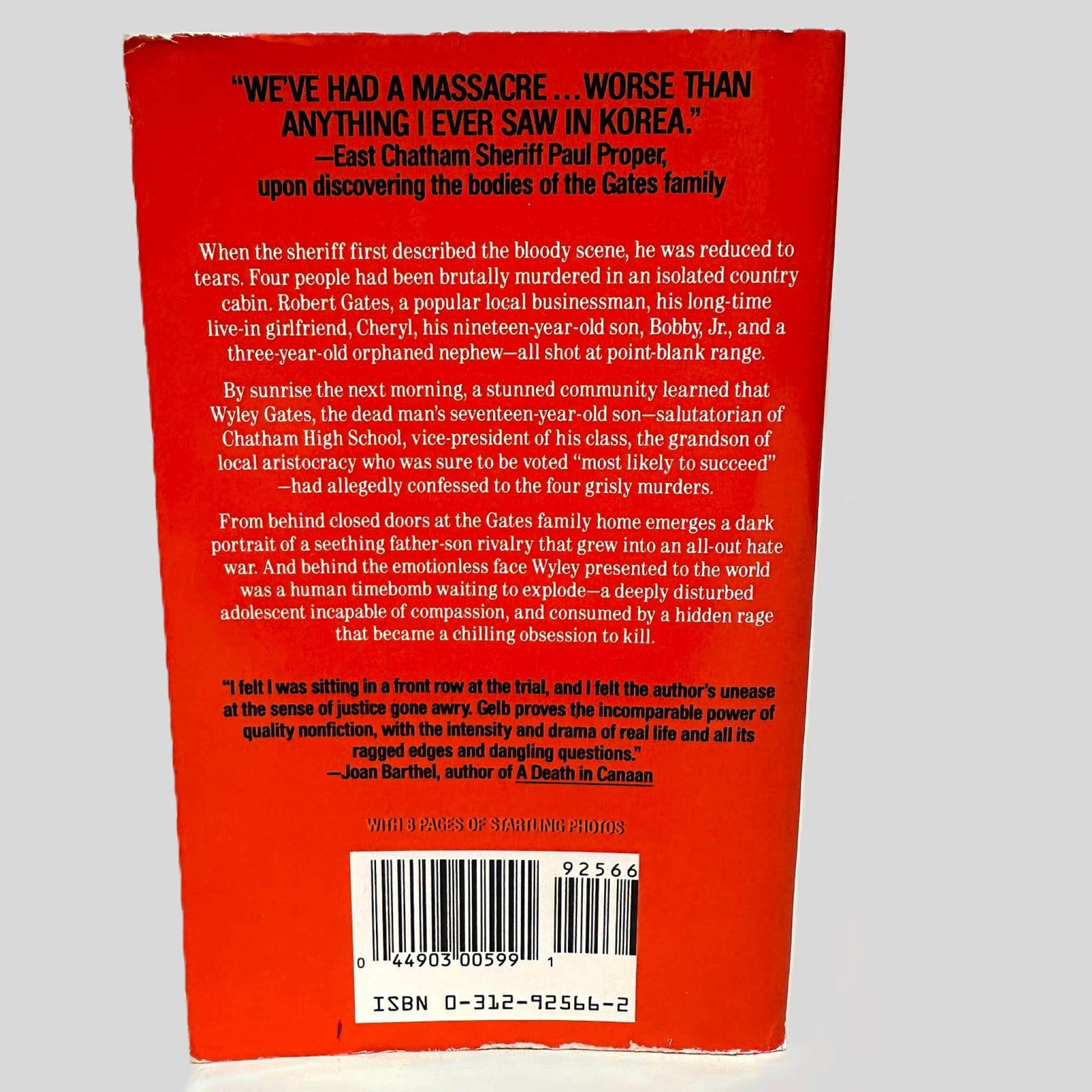 Back cover view of Most Likely to Succeed by Alan Gelb centered on a neutral light gray background. 