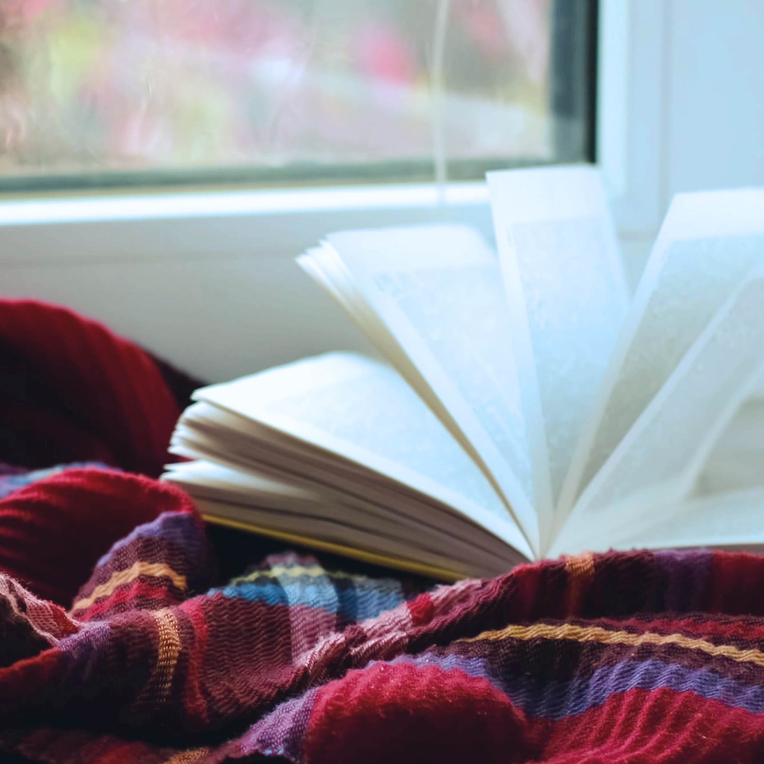 Open book on top of a red, plaid flannel blanket. Rainy window in the background.  
