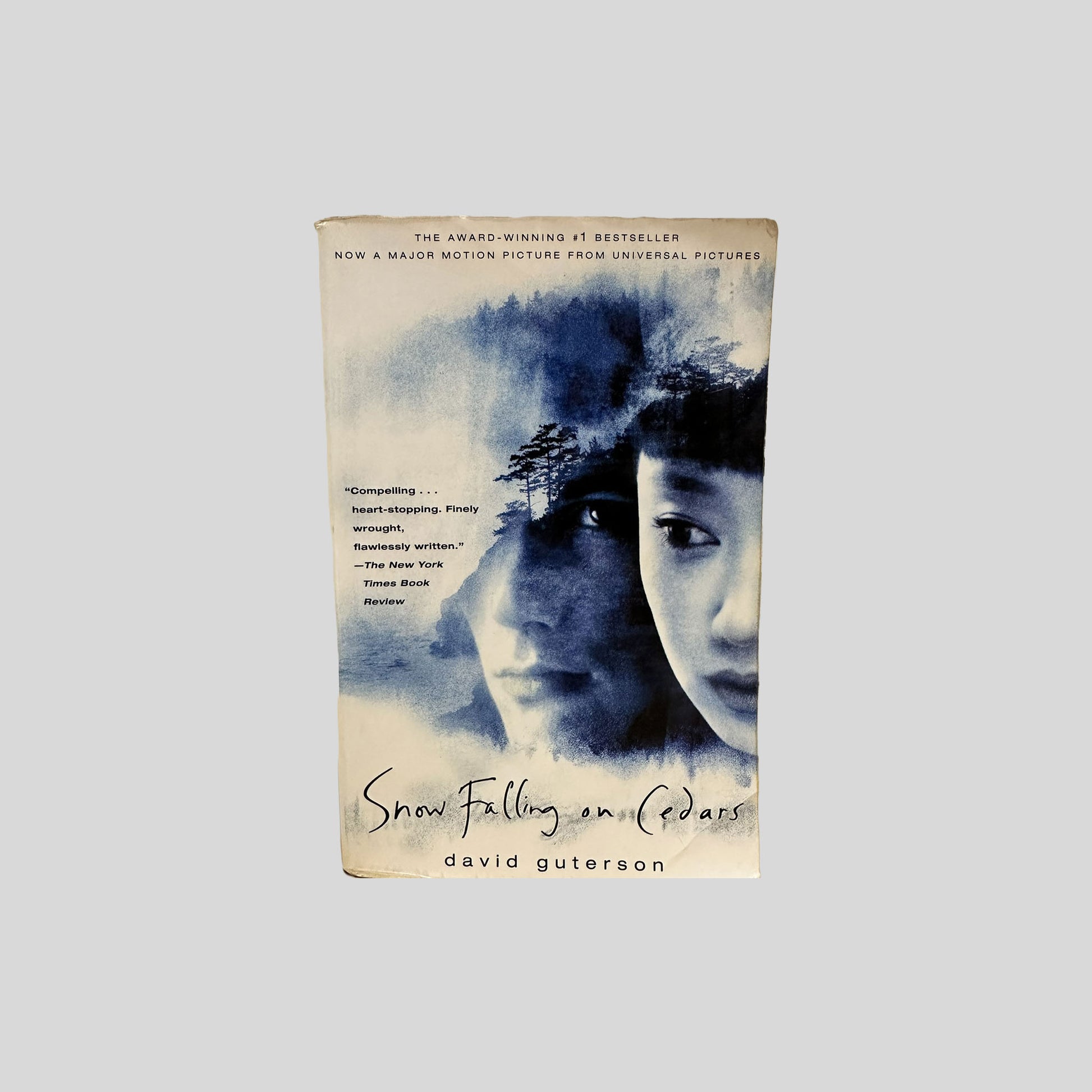Front cover view of Snow Falling On Cedars by David Guterson centered on a neutral light gray background. 
