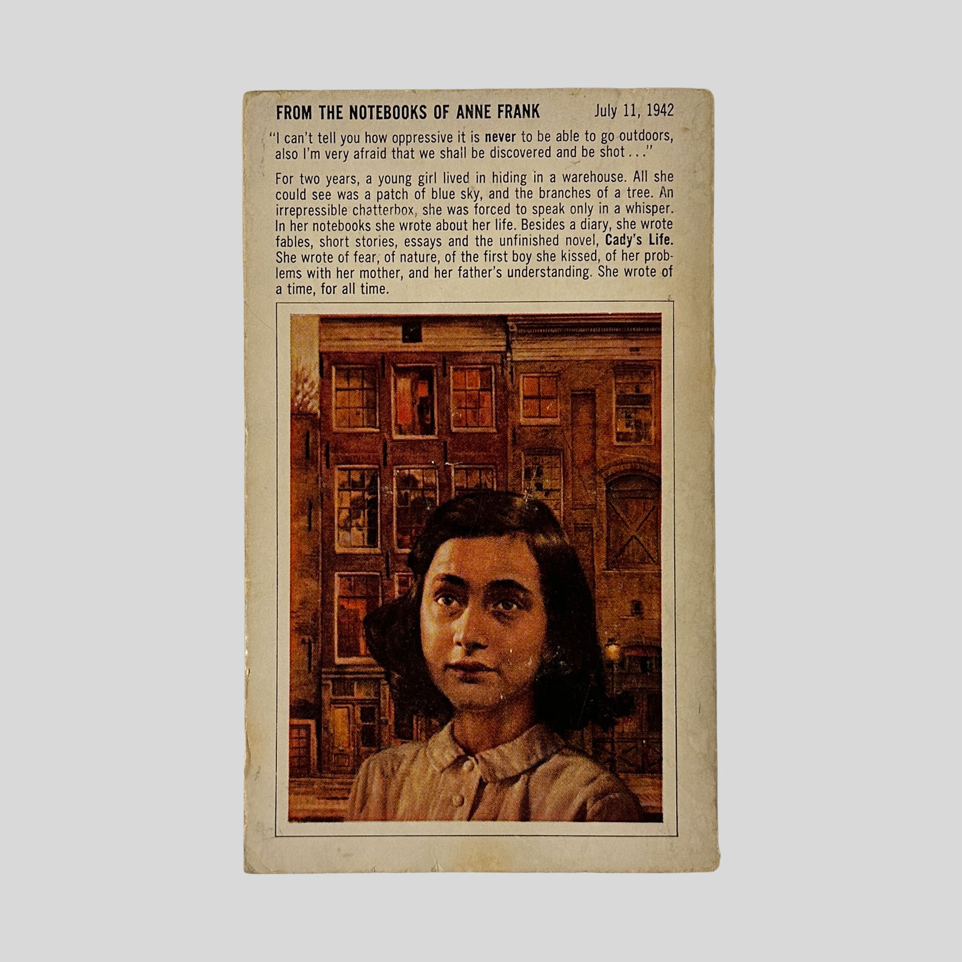 The back cover of the paperback, featuring a quote from Anne's notebooks dated July 11, 1942, over an illustration of the same canal house scene.