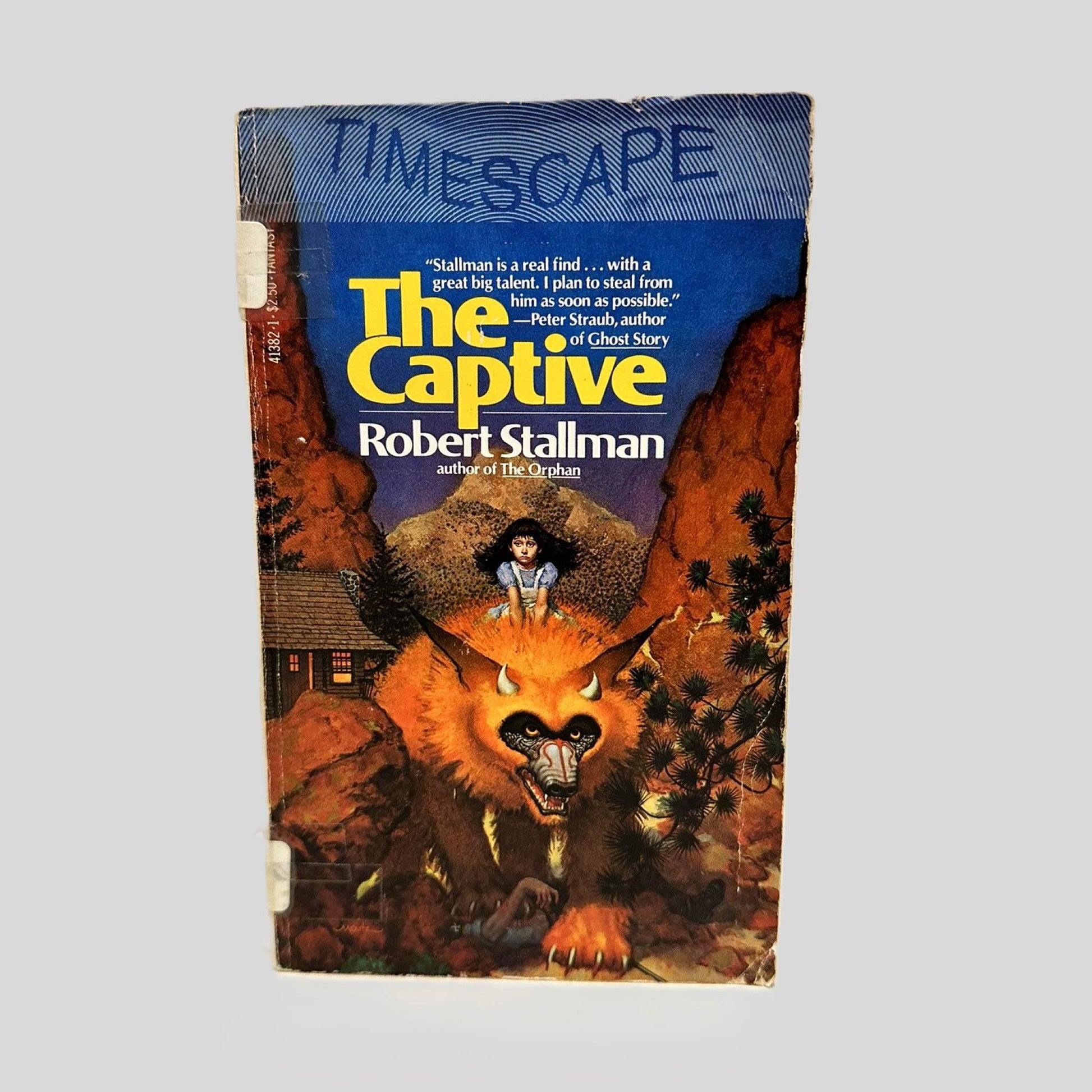 Front cover view of The Captive by Robert Stallman centered on a neutral light gray background. Chipping and creasing around the edges. Cover art is vibrant.