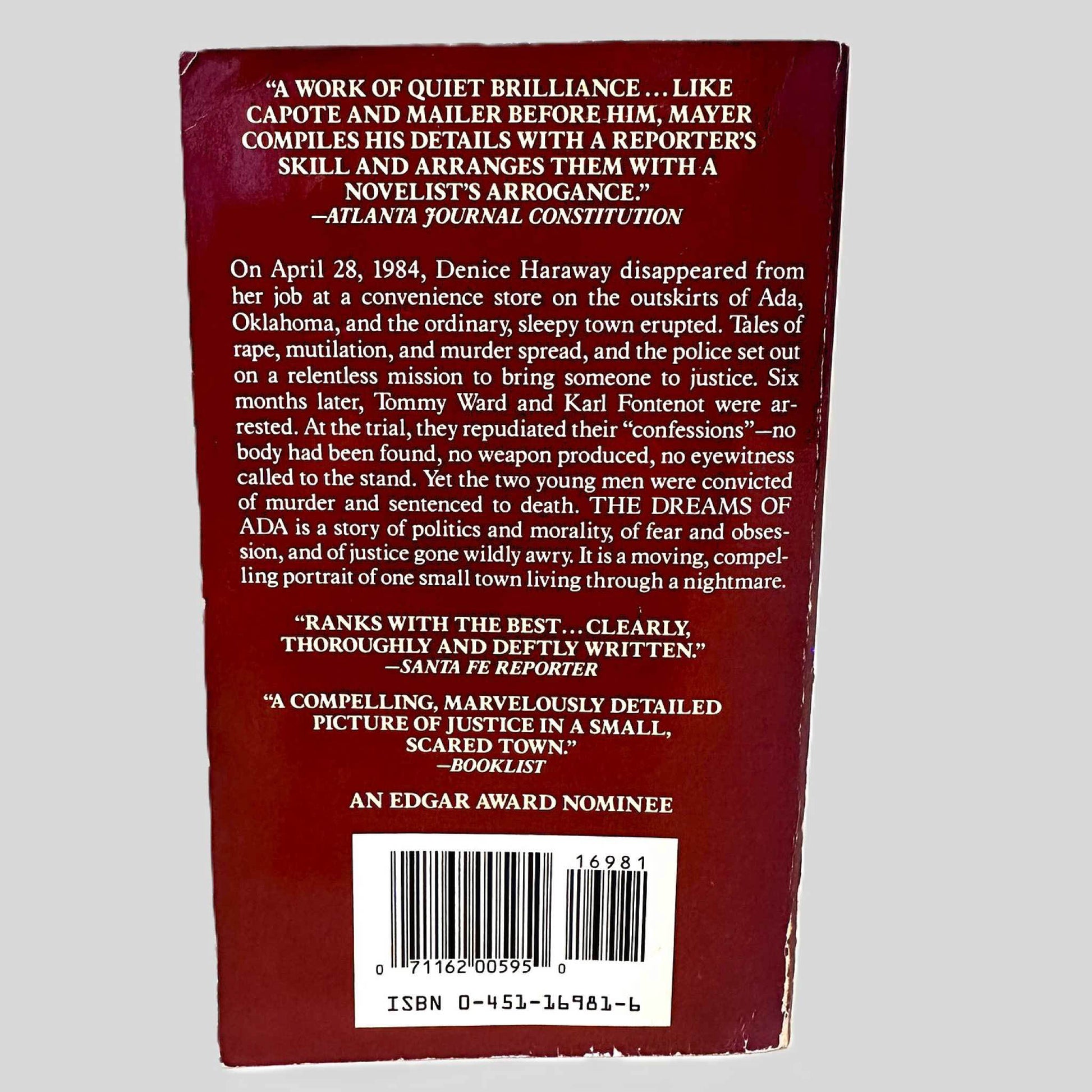Back cover view of The Dreams of Ada by Robert Mayer centered on a neutral light gray background. 