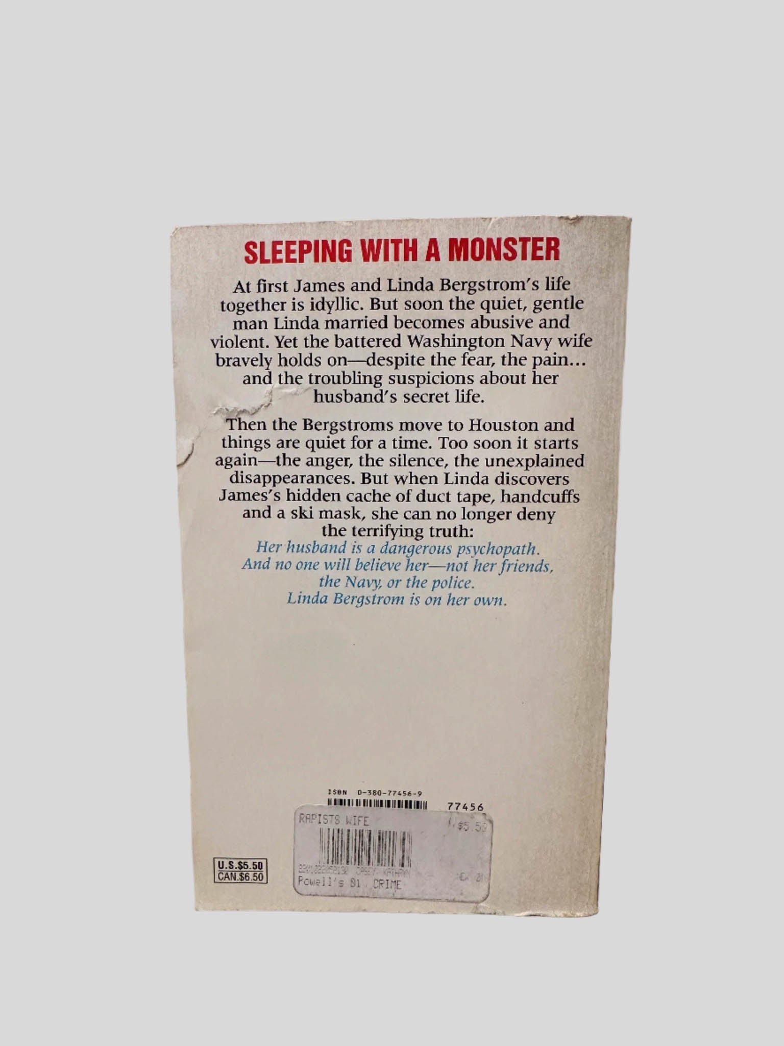 Back cover view of The Rapist's Wife by Kathryn Casey centered on a neutral light gray background. 