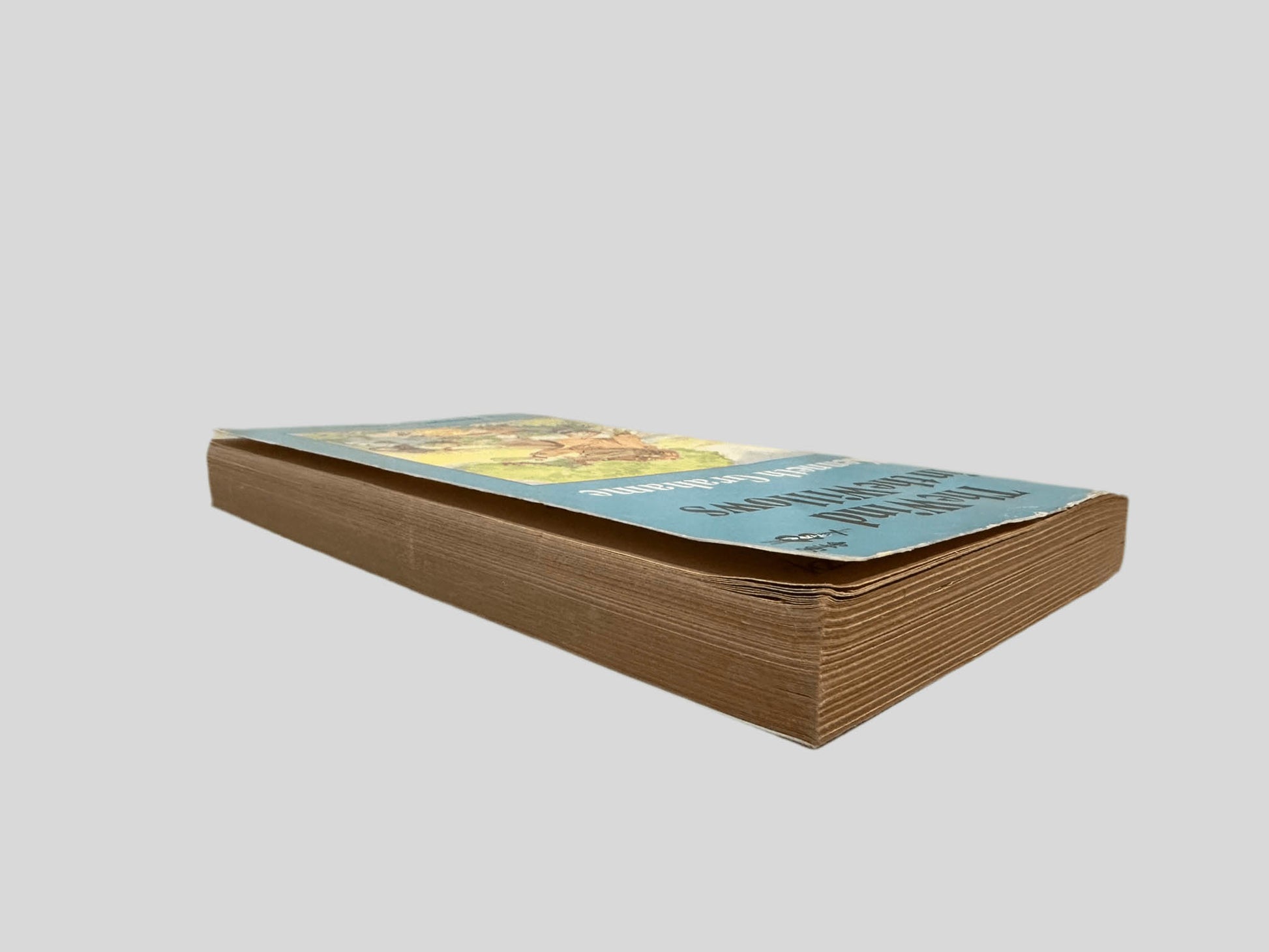 Angle view showing the page edges of The Wind in the Willows by Kenneth Grahame centered on a neutral light gray background. Pages are tight and lay flat, with the exception of the the top few page corners that bend up.