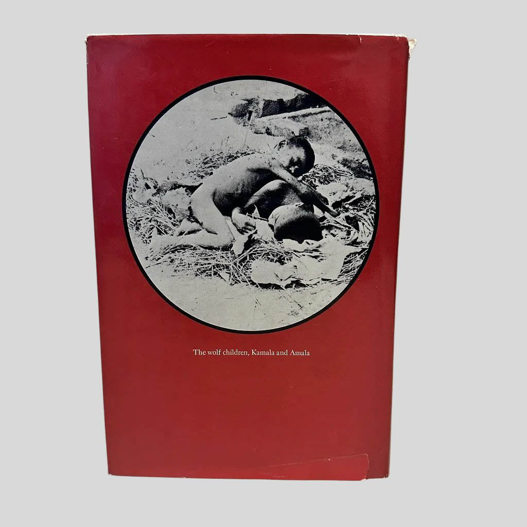 Back cover view of The Wolf Children by Charles Maclean centered on a neutral light gray background. Dust jacket is present. Tear in the jacket at the bottom near the spin at at the top end of the spine.