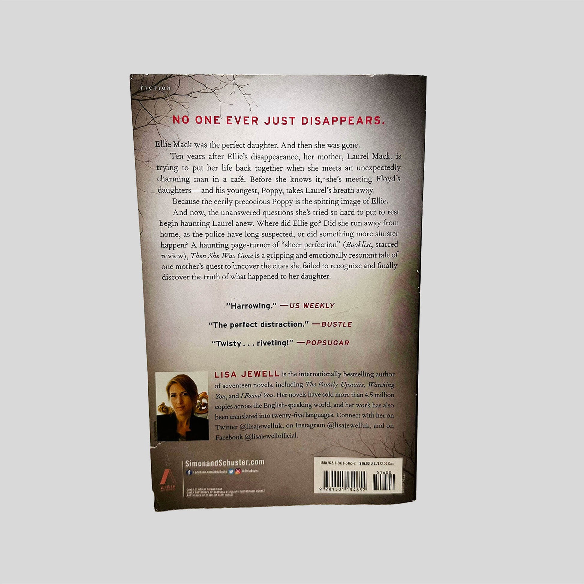 Back cover view of Then She Was Gone by Lisa Jewell centered on a neutral light gray background. Creasing and chipping present on the bottom left corner. Minor chipping along the top edge from normal wear.