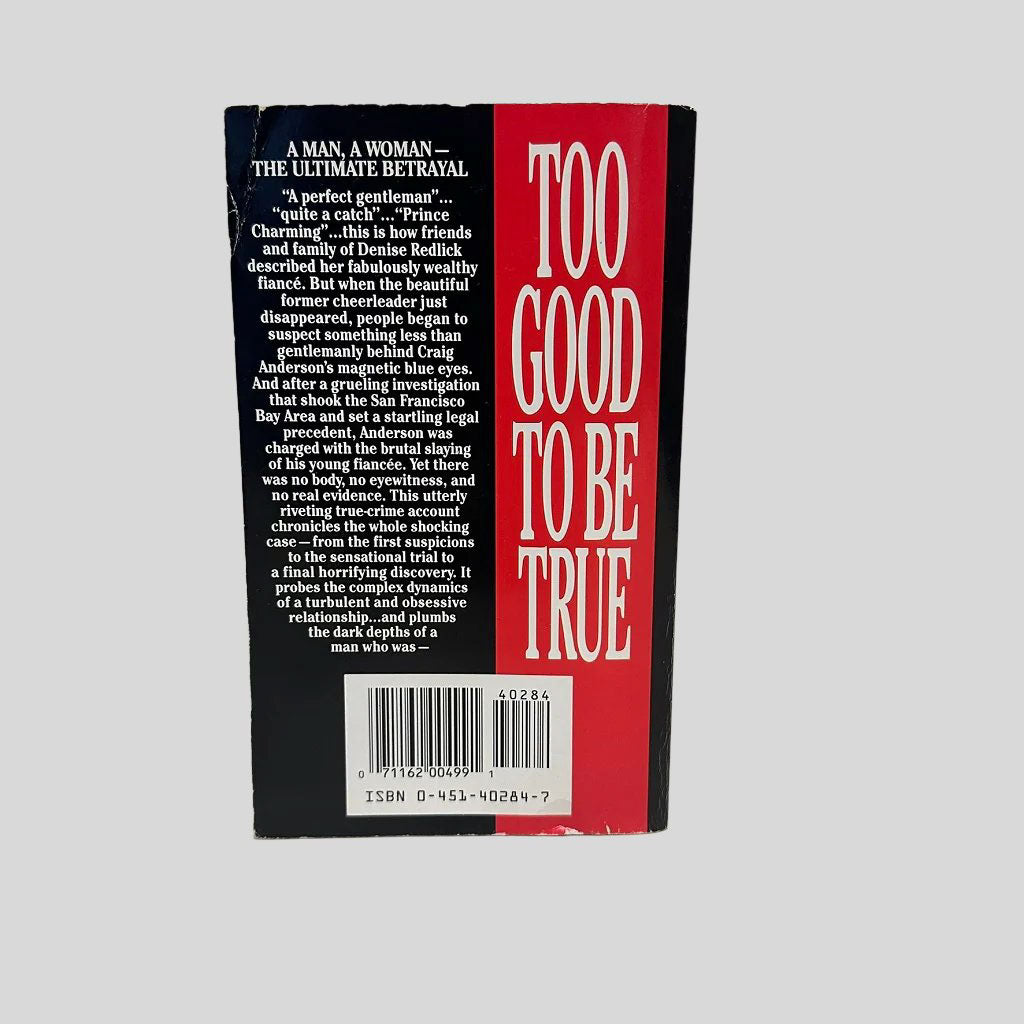 Back cover view of Too Good To Be True by Janet Beck centered on a neutral light gray background. 