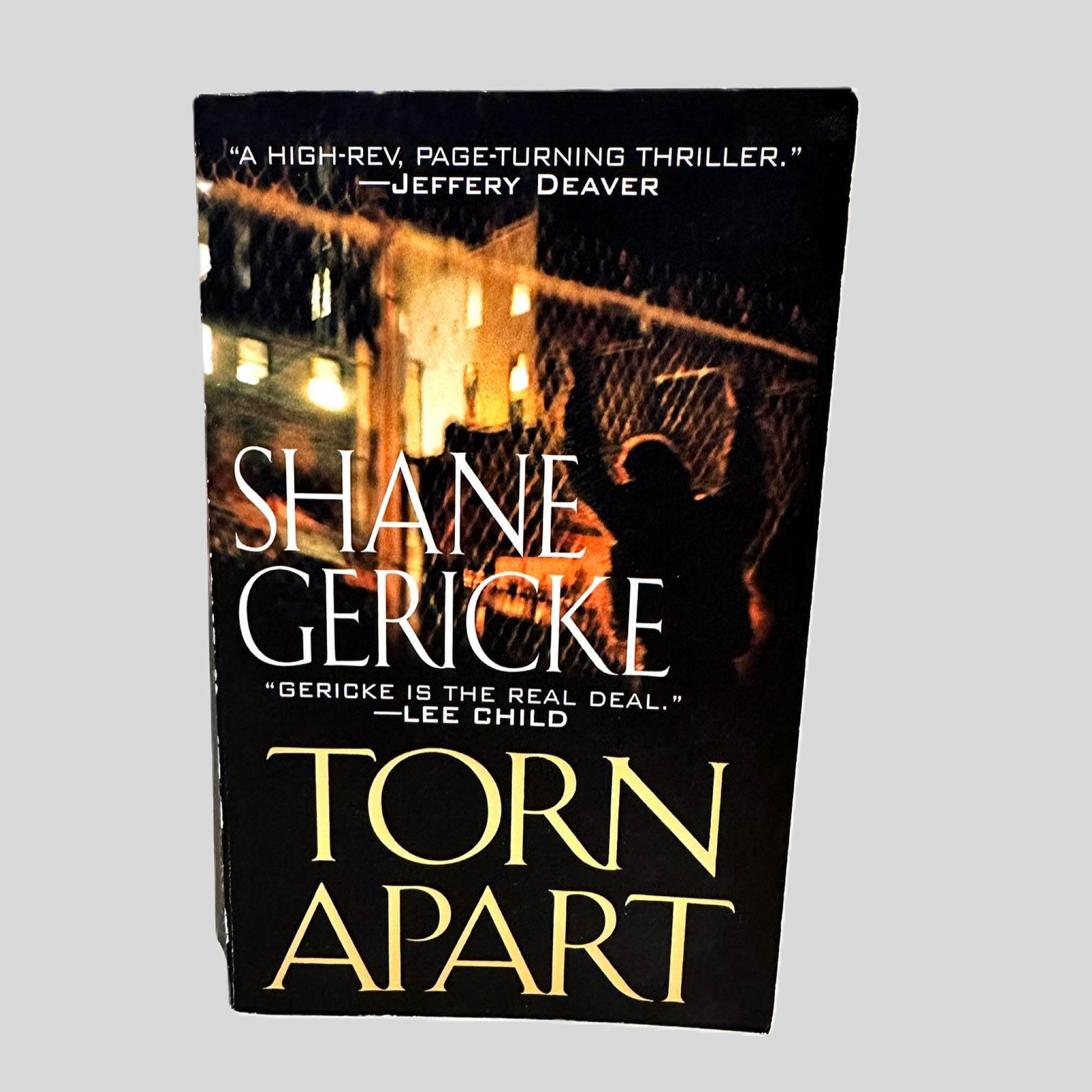 Front cover view of Torn Apart by Shane Gericke centered on a neutral light gray background. 