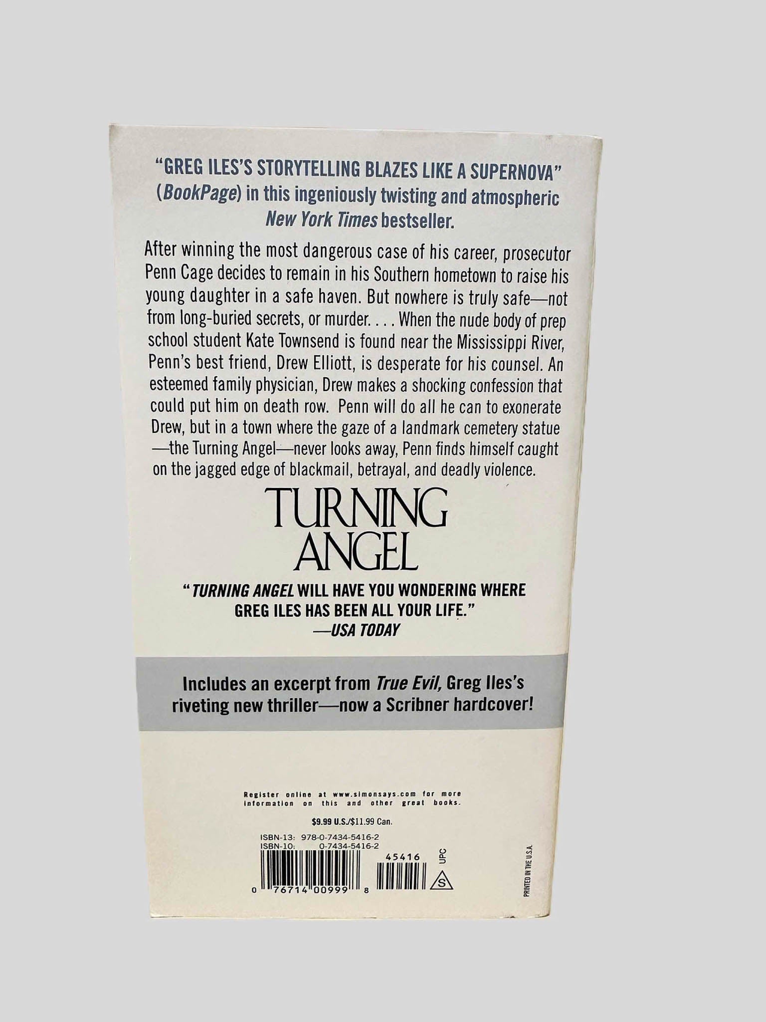 Back cover view of Turning Angel by Greg Iles centered on a neutral light gray background. 