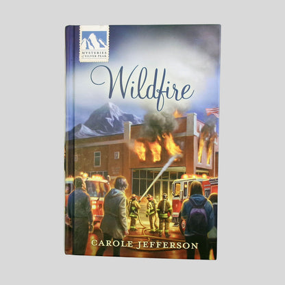 Front cover view of Wildfire by Carole Jefferson centered on a neutral light gray background. 
