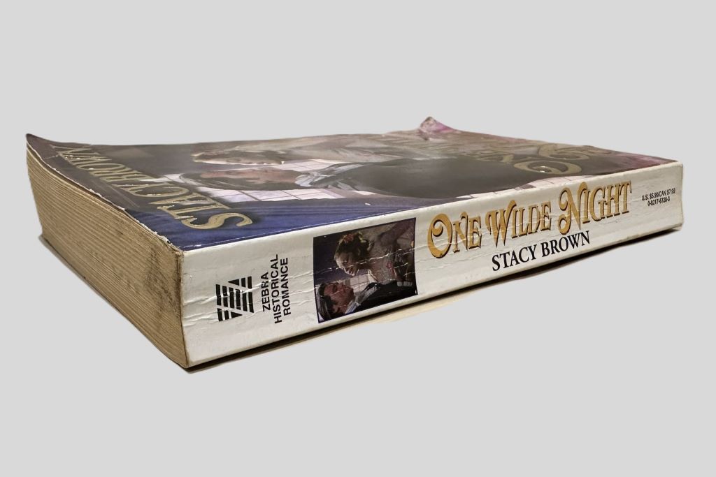 One Wilde Night by Stacy Brown - Fehmerling Books