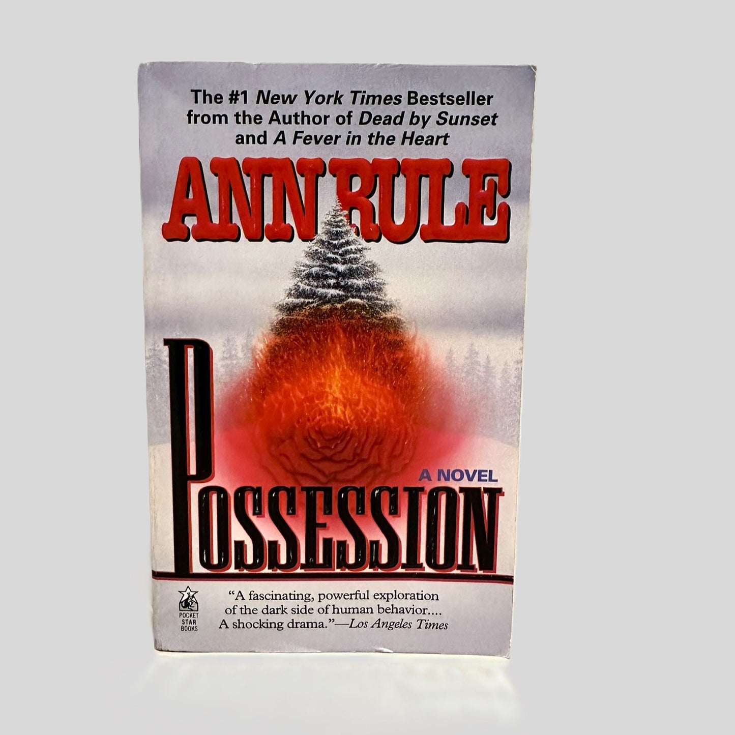 Possession by Ann Rule - Fehmerling Books