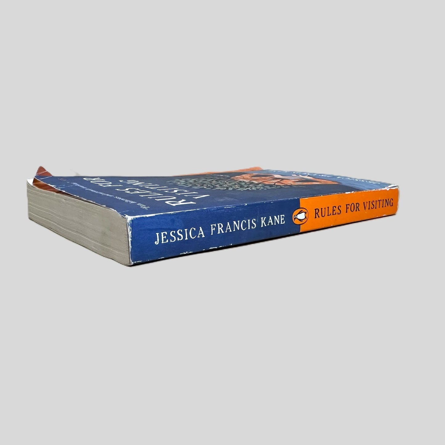 Rules for Visiting by Jessica Francis Kane