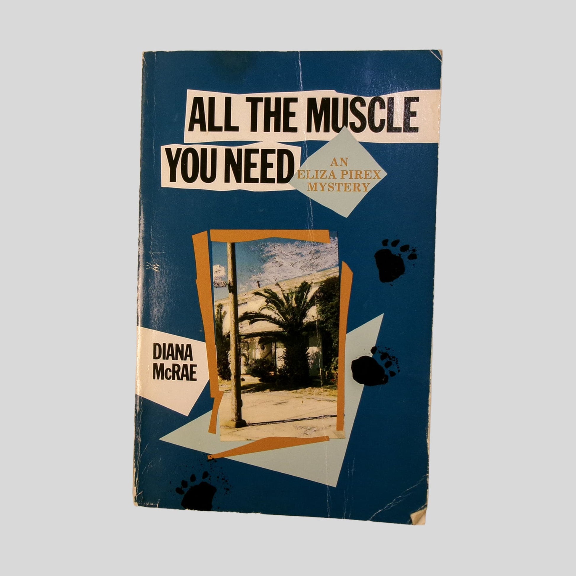 All The Muscle You Need by Diana Mcrae - Front Cover - Fehmerling Books