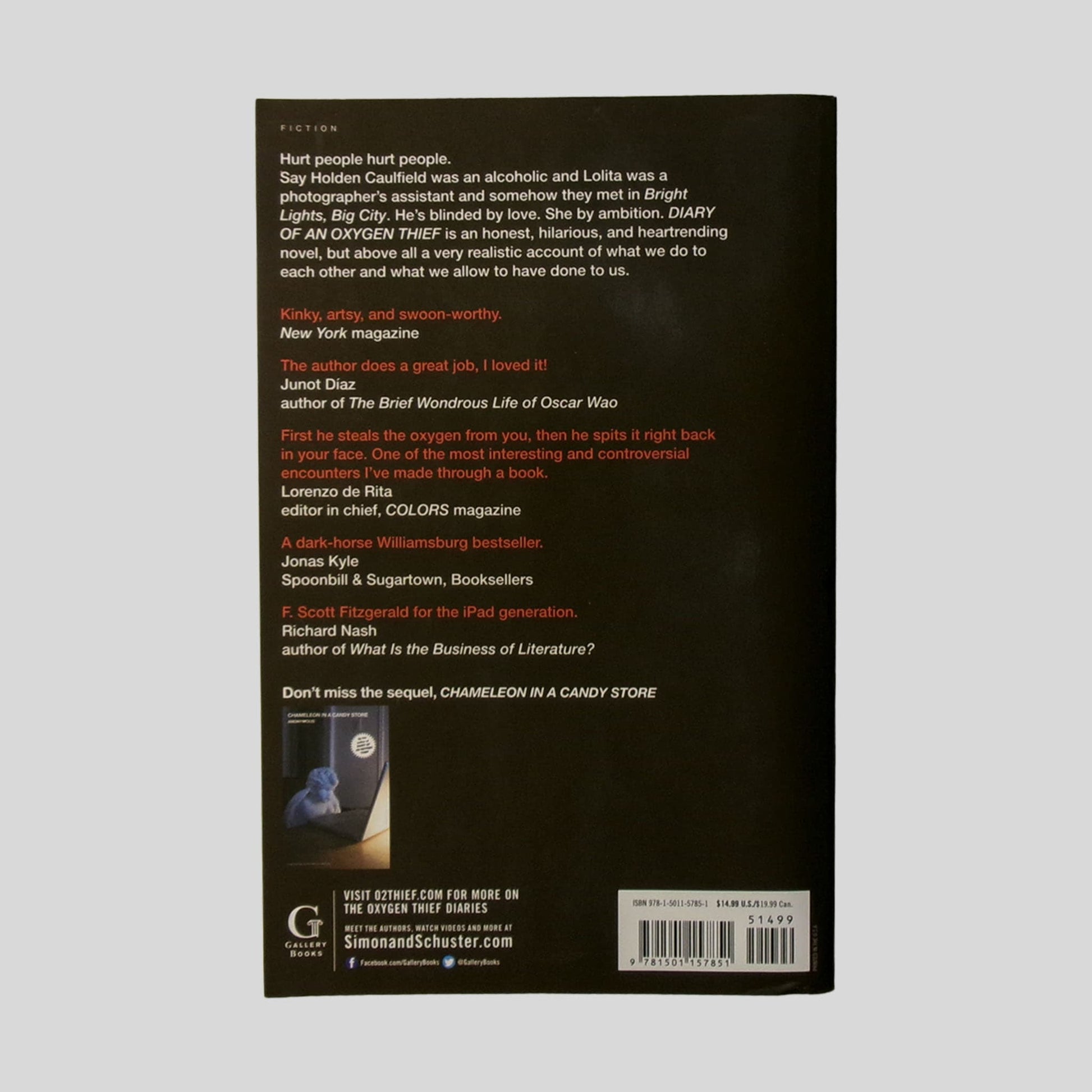 Diary Of An Oxygen Thief by Anonymous - Back Cover - Fehmerling Books