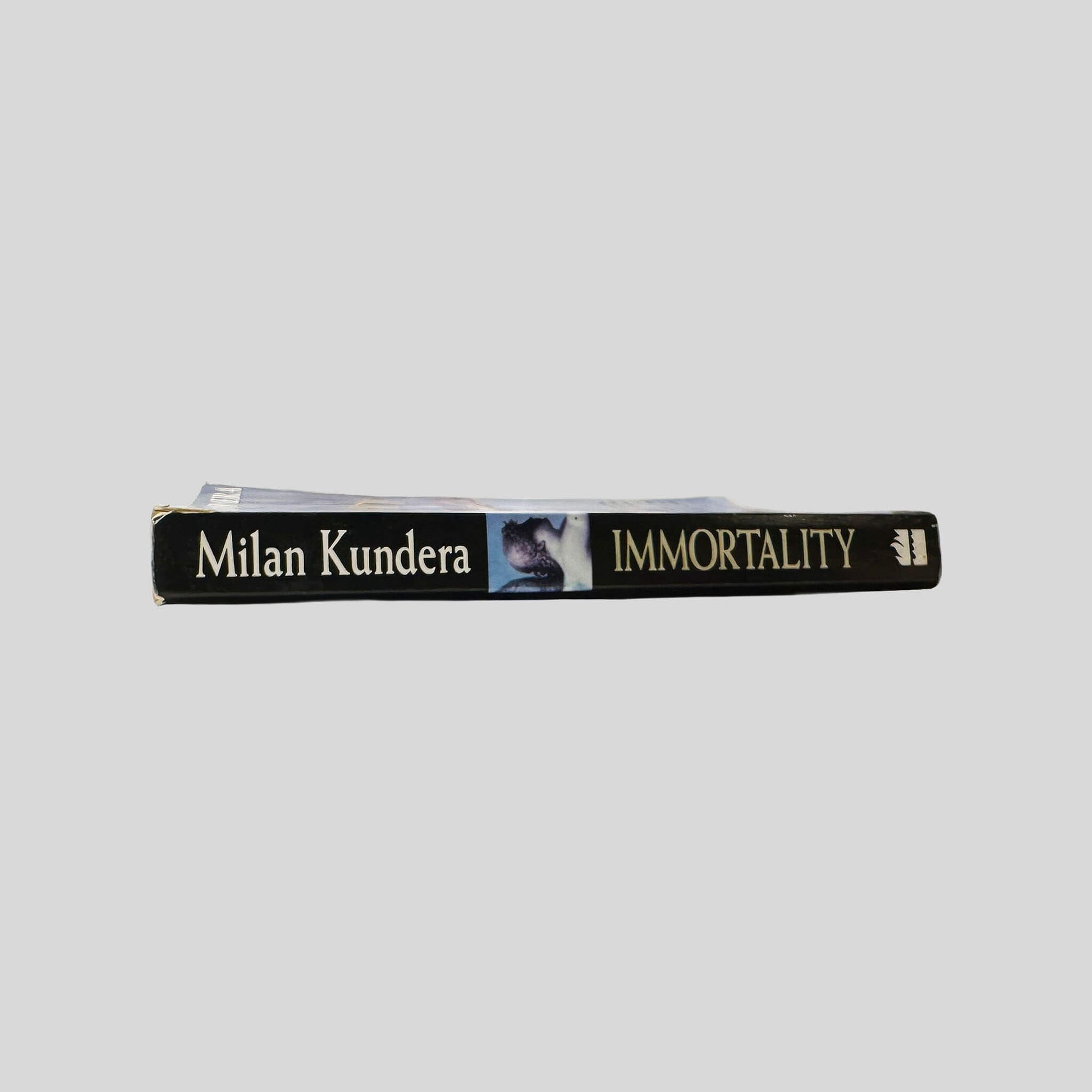 Immortality by Milan Kundera - Spine - Fehmerling Books