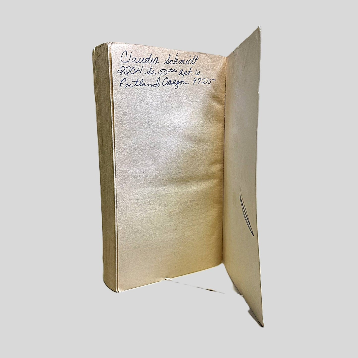 My Name is Asya by Kira Michailovskaya