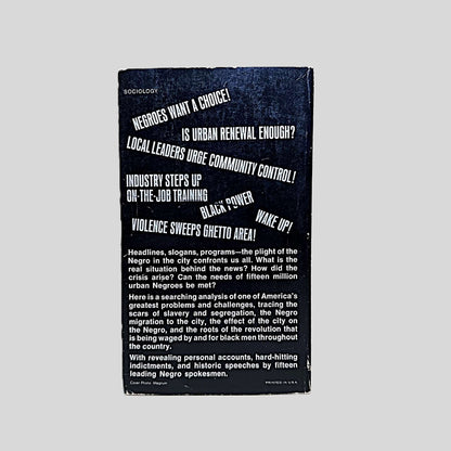 The Negro in the City by Gerald Leinwand