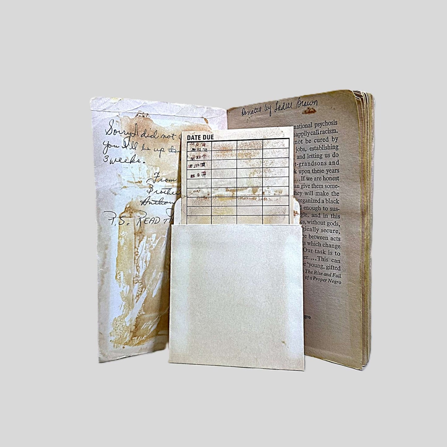 The Rise and Fall of a Proper Negro by Leslie Alexander Lacy