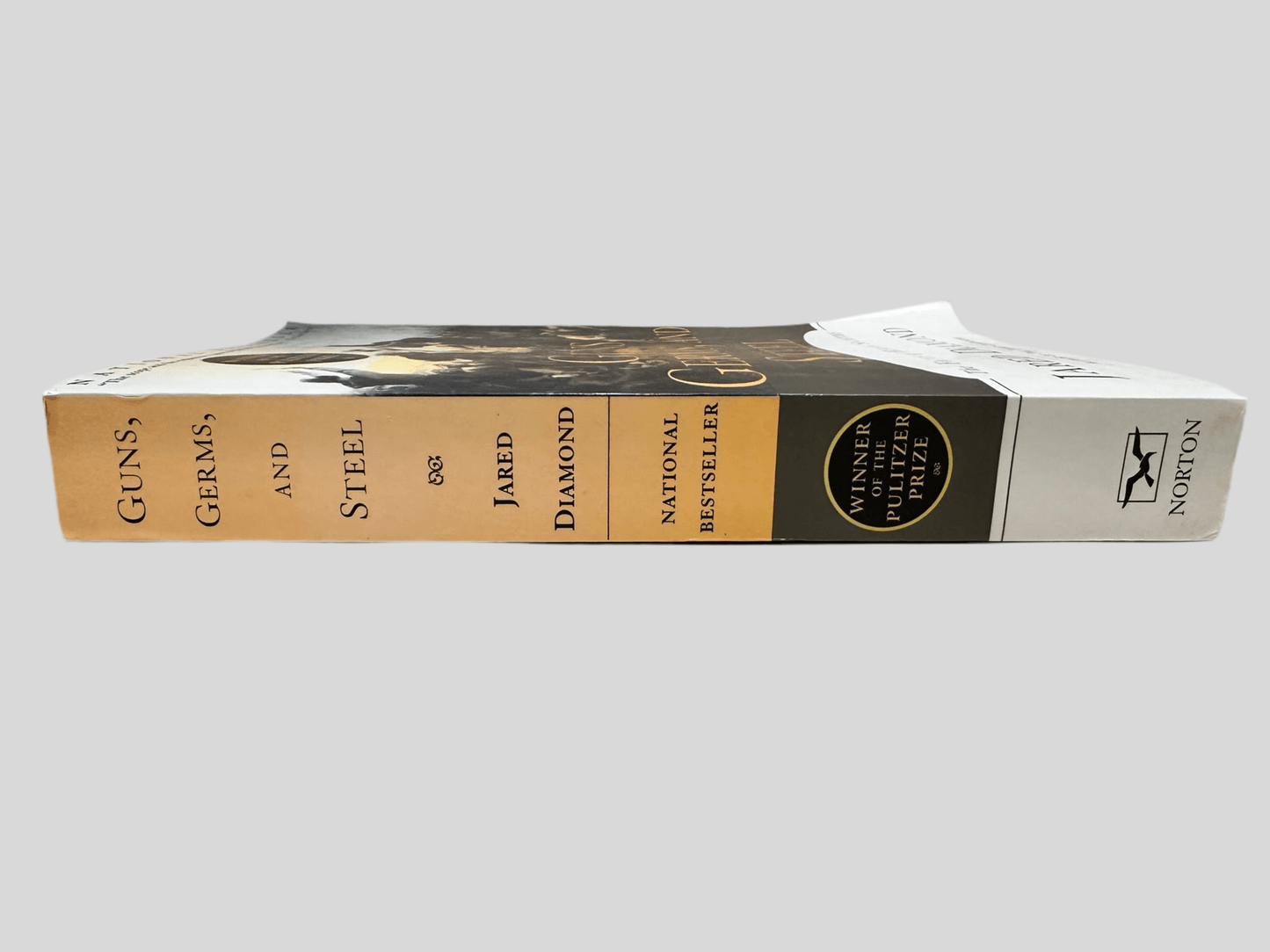 Guns, Germs, and Steel: The Fates of Human Societies by Jared Diamond - Book Spine
