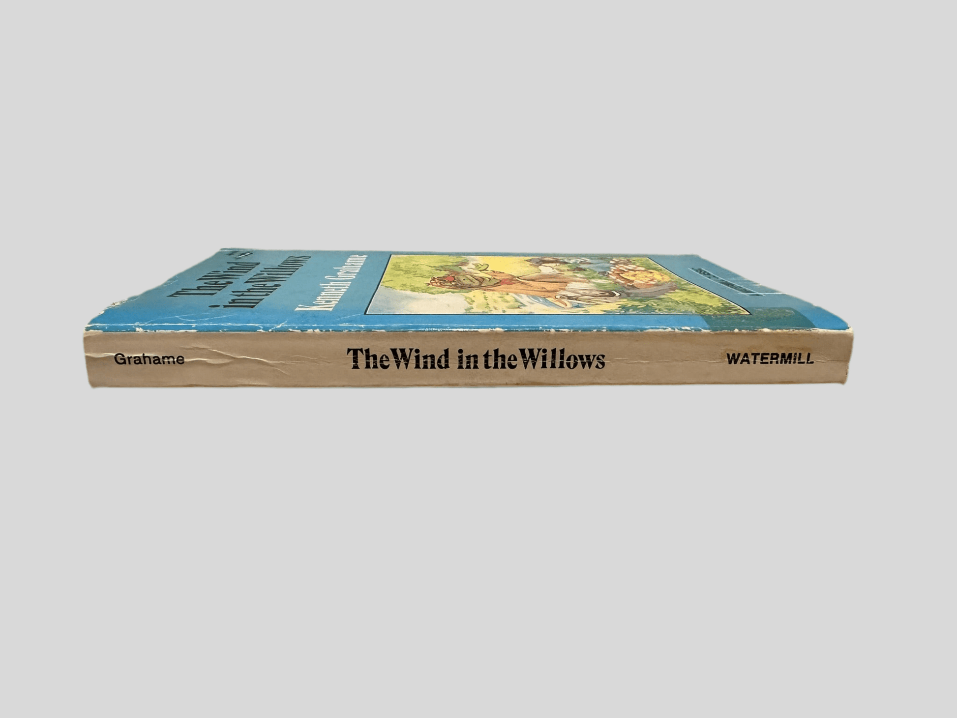 The Wind in the Willows by Kenneth Grahame - Book Spine