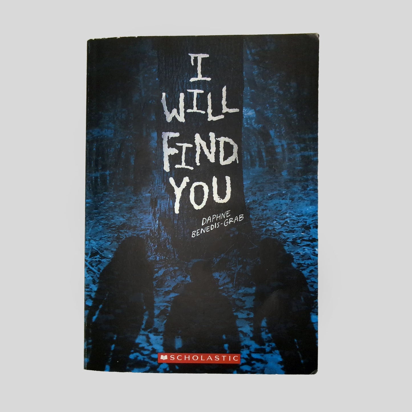 I Will Find You by Daphne Benedis-Grab - Front Cover - Fehmerling Books