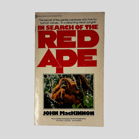Front cover of In Search Of The Red Ape by John MacKinnon, vintage 1975 Ballantine very good condition mass market paperback edition (Science & primate field research).
